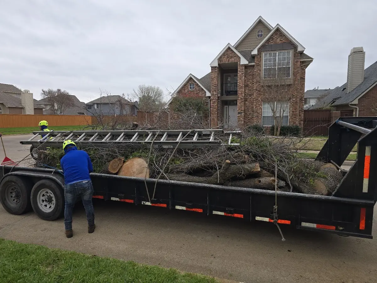 Expert Tree Removal with proper safety equipment in Wrentham